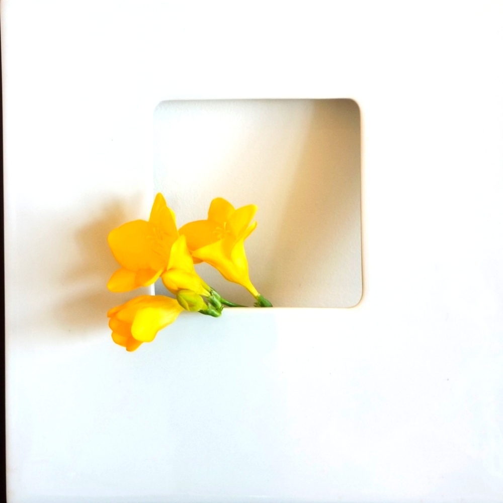 3D Frame